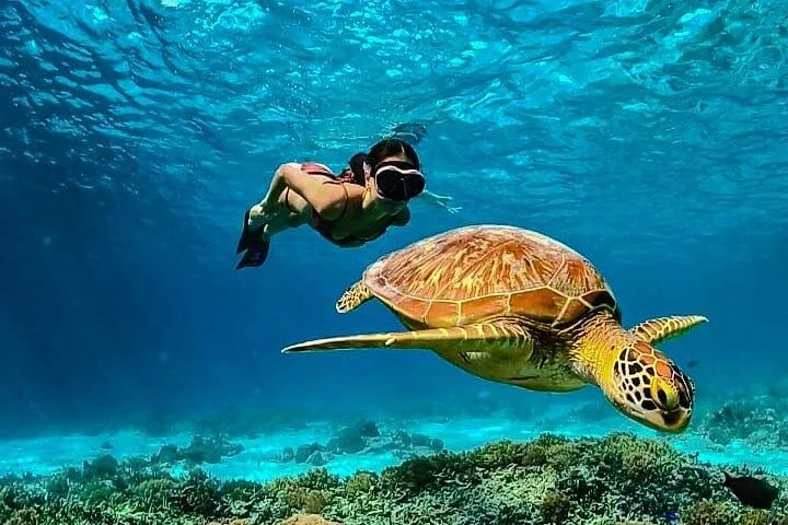 Gili-islands-full-day-tour1