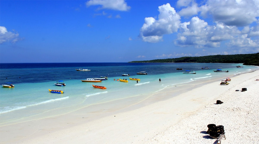 sulawesi