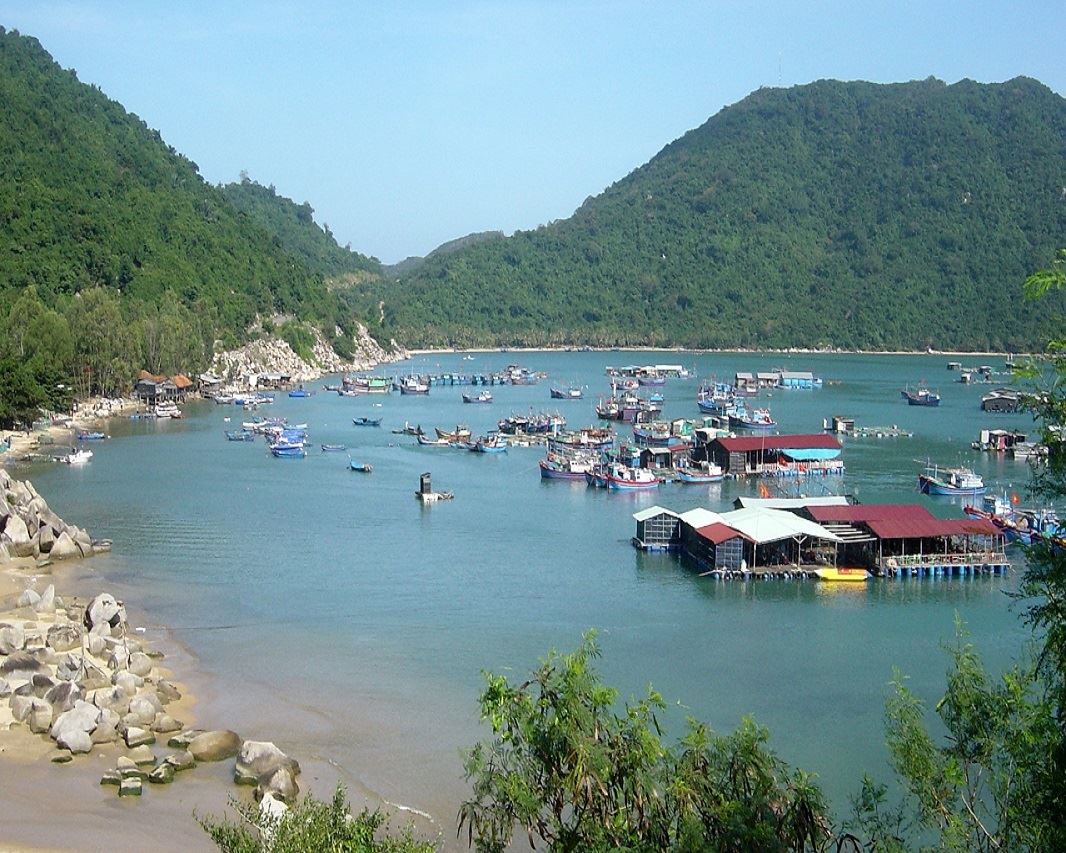 vinh-vung-ro-1